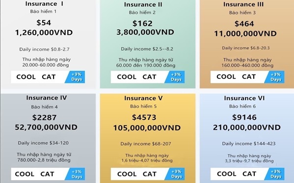 Coolcat là hình thức lừa đảo phổ biến nhất nổi bật trong năm 2021